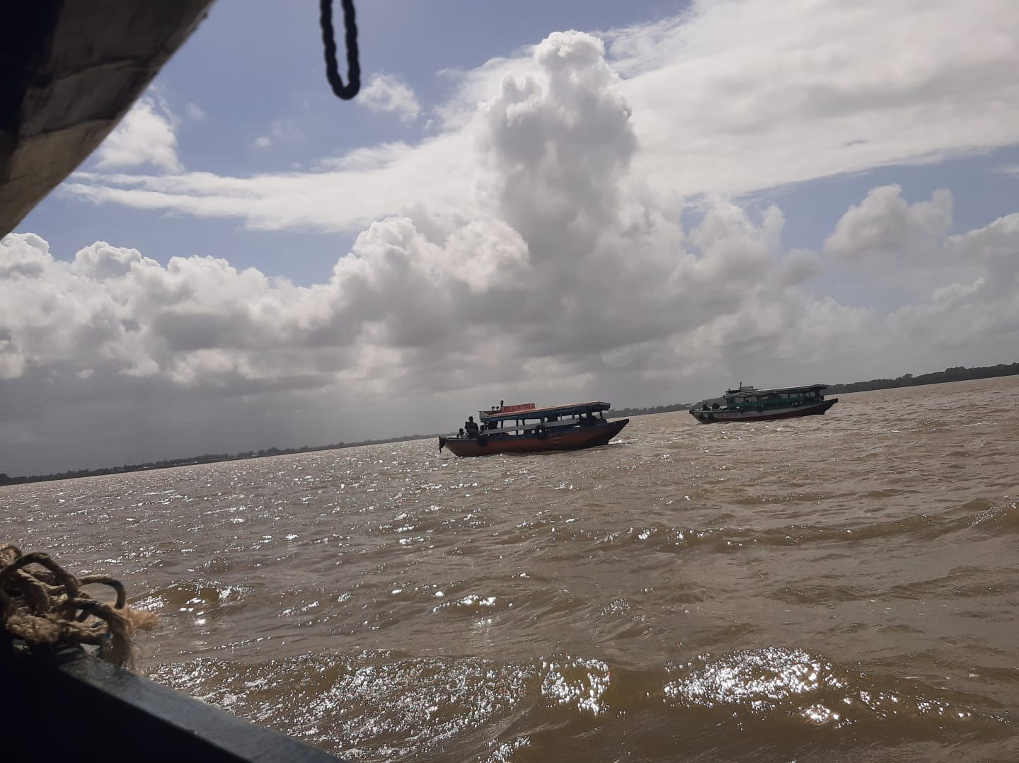 Boat Spot the Dolphins