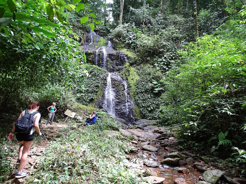 Brownsberg Day Trip – A Jungle Adventure in Suriname’s Nature Park